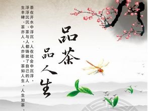 情浅如水，流转于岁月之间——全文阅读感悟