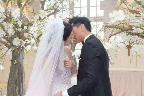 明白了再结婚演员表_明白了再结婚电视剧33集剧情